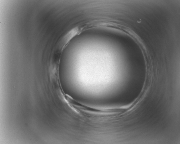 X0000081611385200701221151