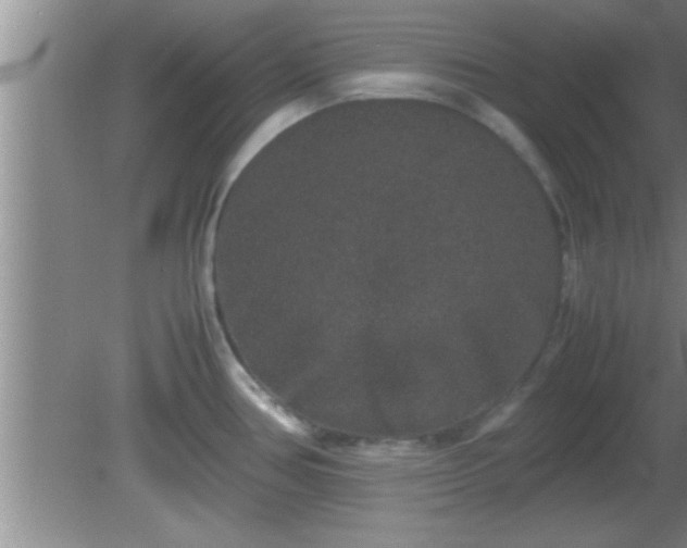 X0000081611386200701221151