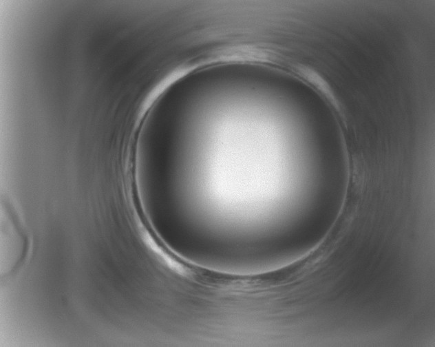 X0000081611387200701221151