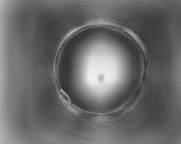 X0000081611388200701221151