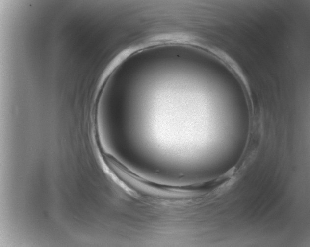 X0000081611389200701221151