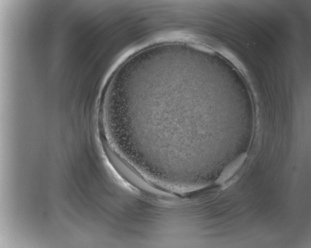 X0000081611392200701221151