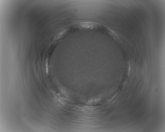 X0000081611394200701221150