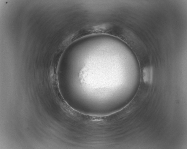 X0000081611395200701221150