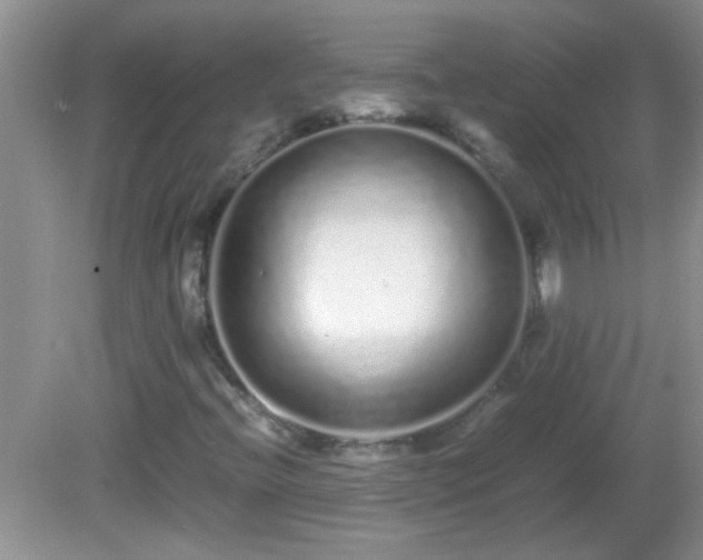 X0000081611396200701221150