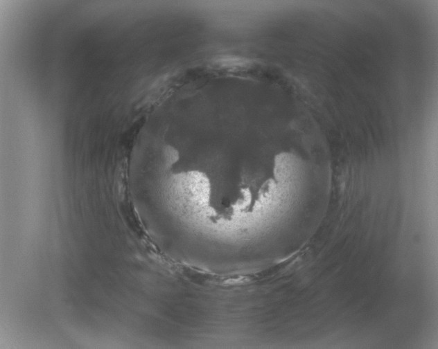 X0000081611397200701221150