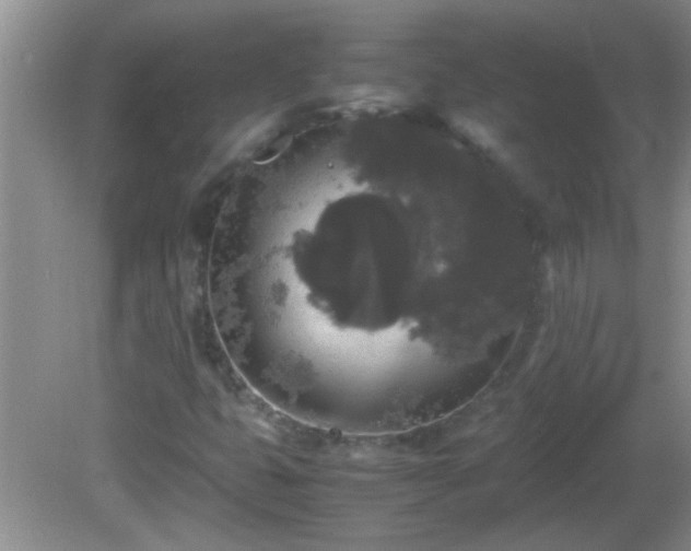 X0000081611399200701221150