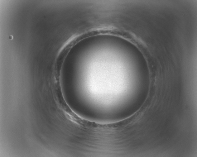 X0000081611400200701221150