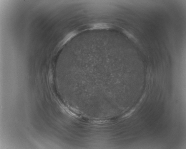 X0000081611401200701221150