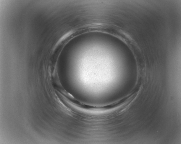 X0000081611402200701221150