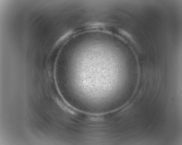 X0000081611403200701221150