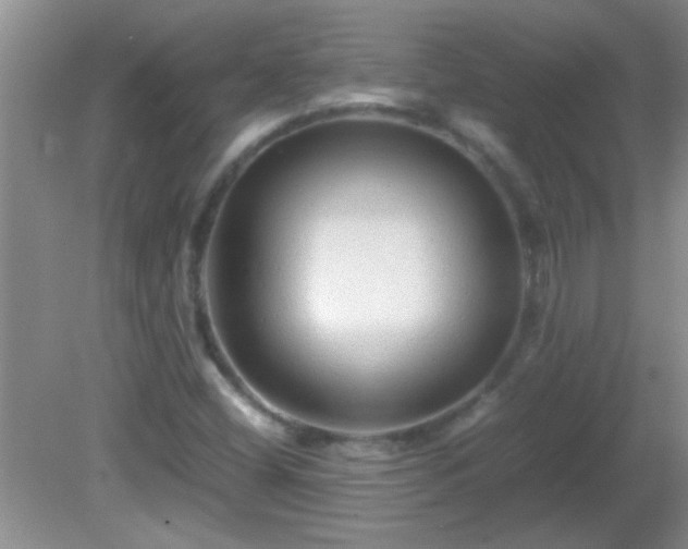 X0000081611404200701221150