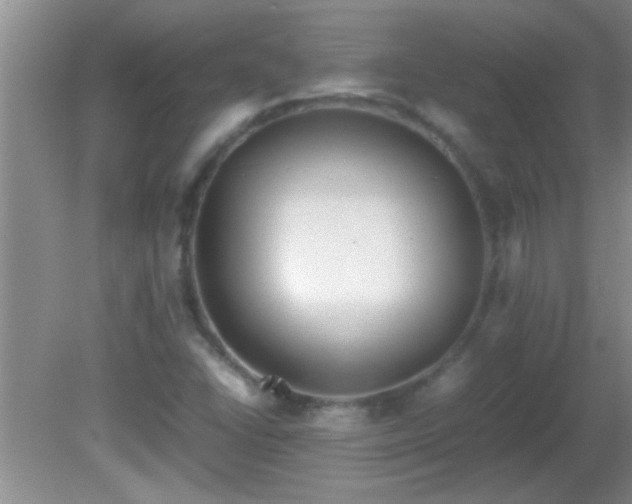 X0000081611406200701221150