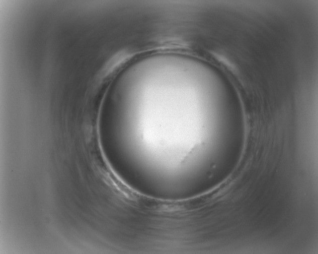 X0000081611407200701221150