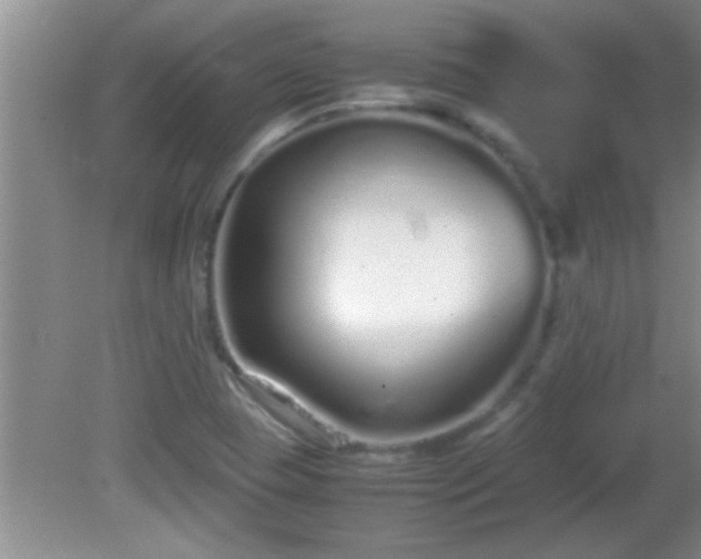 X0000081611409200701221150