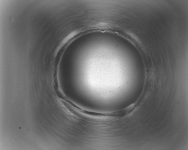 X0000081611410200701221150