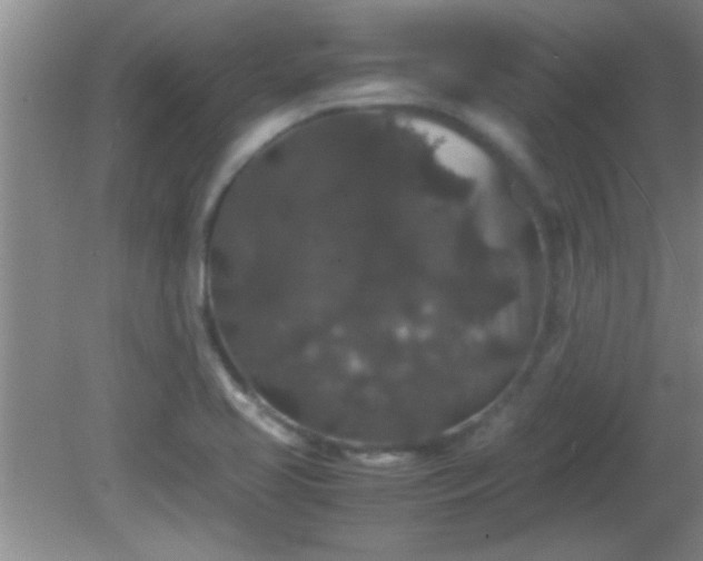 X0000081611413200701221150