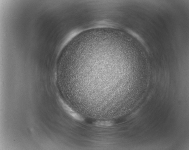 X0000081611415200701221150