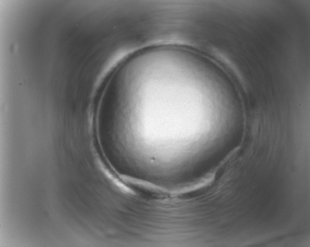 X0000081611416200701221150