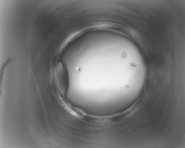 X0000081611417200701221150