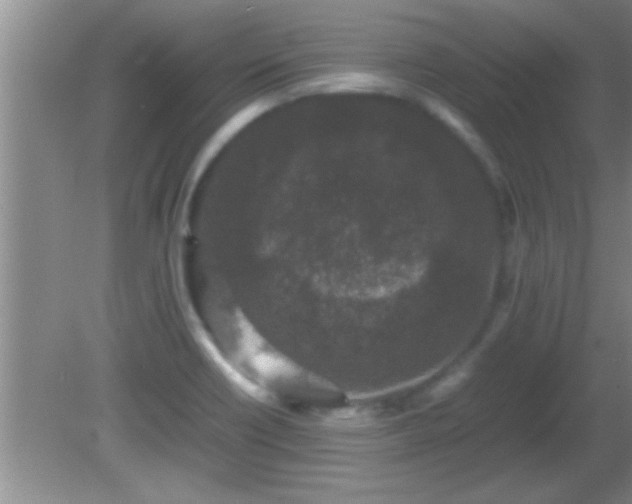 X0000081611418200701221150