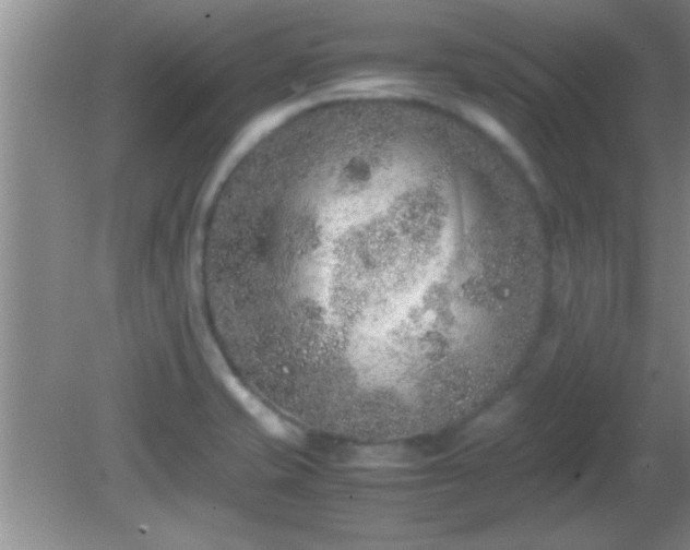 X0000081611421200701221150