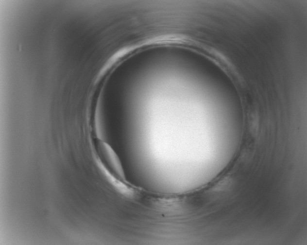 X0000081611422200701221150