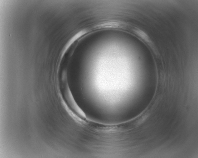 X0000081611426200701221150