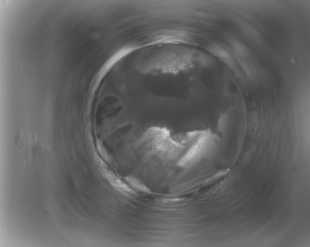 X0000081611427200701221151