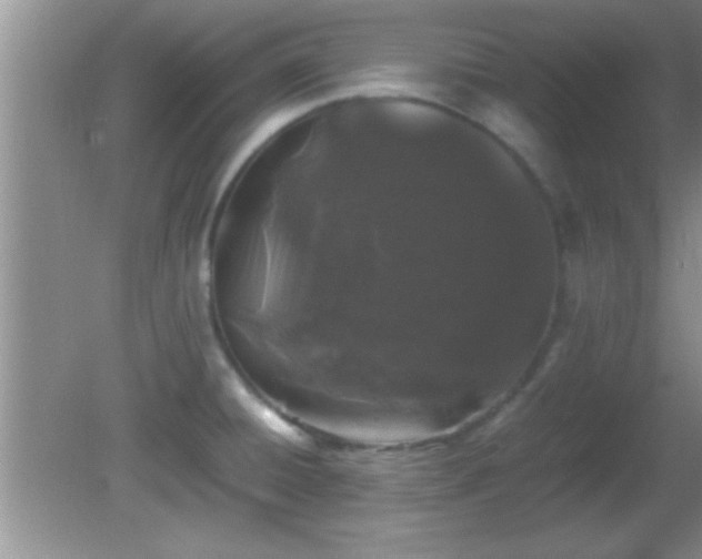 X0000081611428200701221151