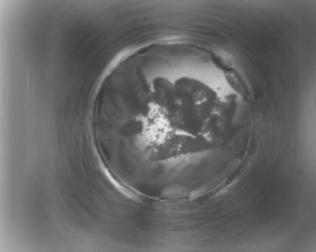 X0000081611429200701221151