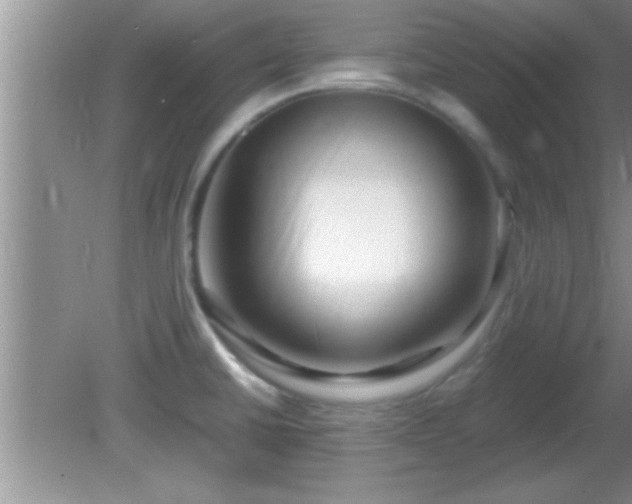 X0000081611430200701221151