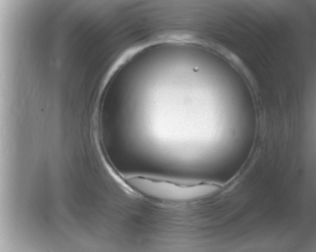 X0000081611432200701221151