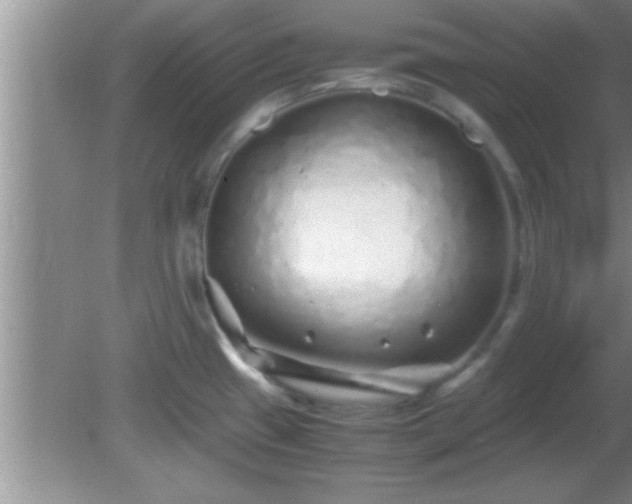 X0000081611433200701221151