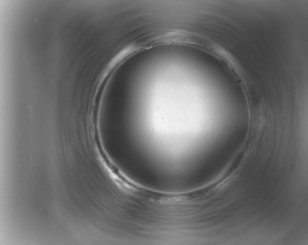 X0000081611434200701221151