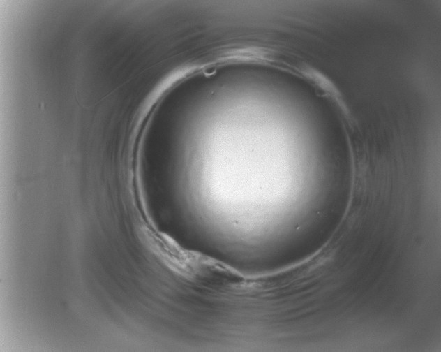 X0000081611435200701221151