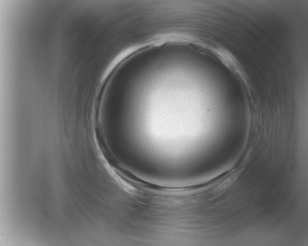 X0000081611438200701221151