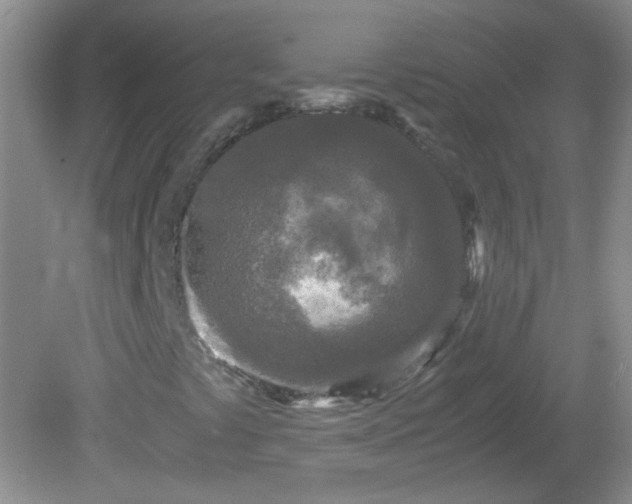 X0000081611441200701221150