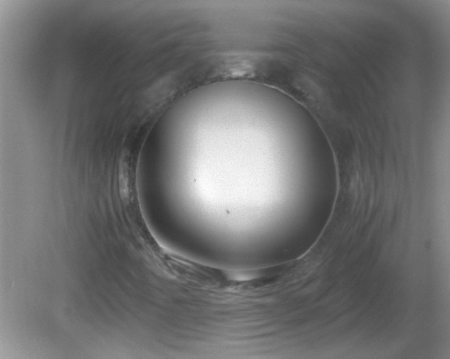 X0000081611442200701221150