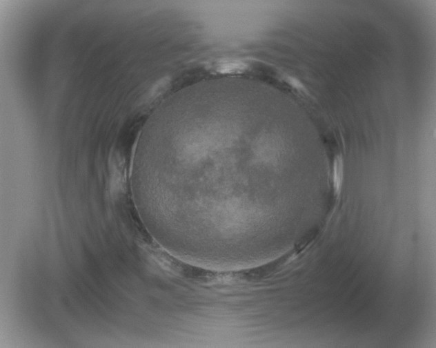 X0000081611443200701221150