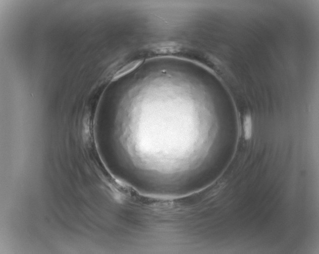 X0000081611444200701221150