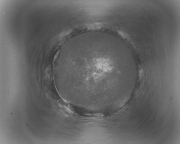 X0000081611445200701221150