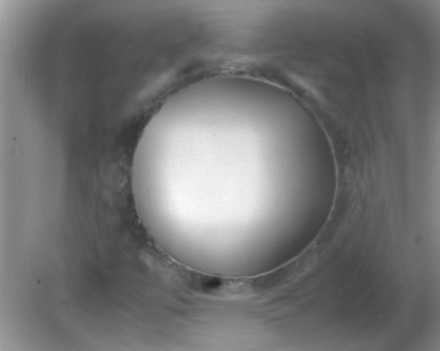 X0000081611447200701221150