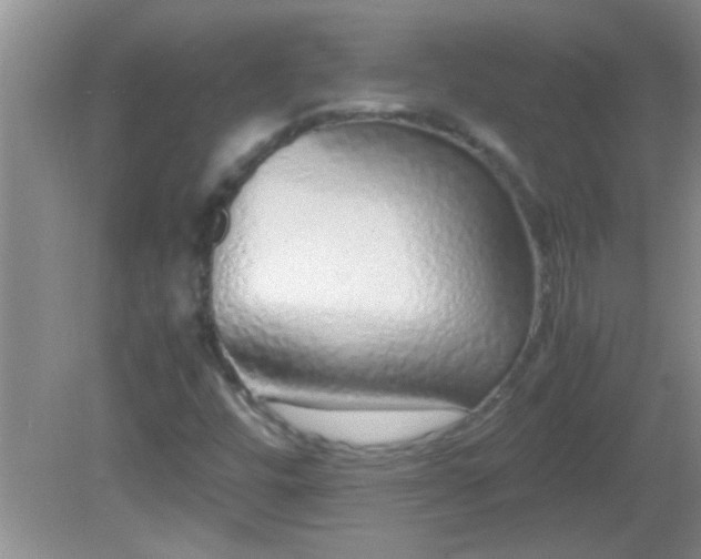 X0000081611448200701221150