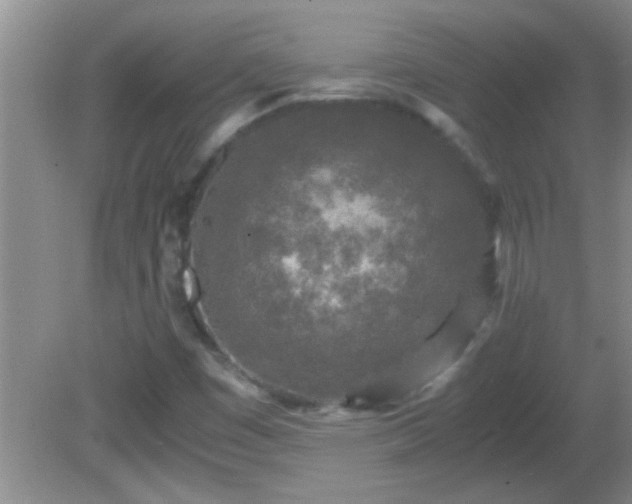 X0000081611449200701221150