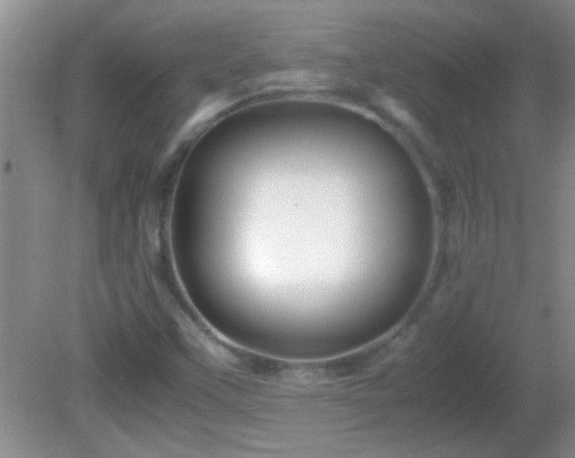 X0000081611451200701221150