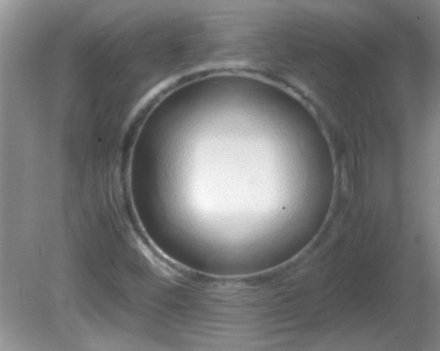 X0000081611452200701221150