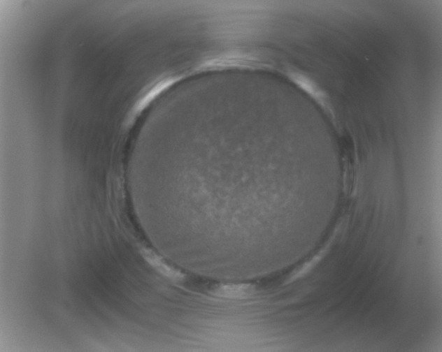 X0000081611453200701221150