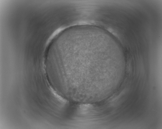 X0000081611454200701221150