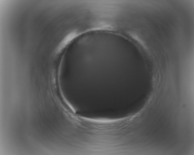 X0000081611455200701221150